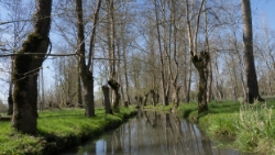 (2015-04) -28- Marais Poitevin